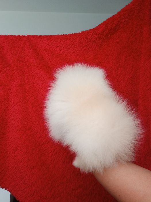 *Pomeranian Mikro okruszek CHIRO Wyjątkowy misio Aktualny*
