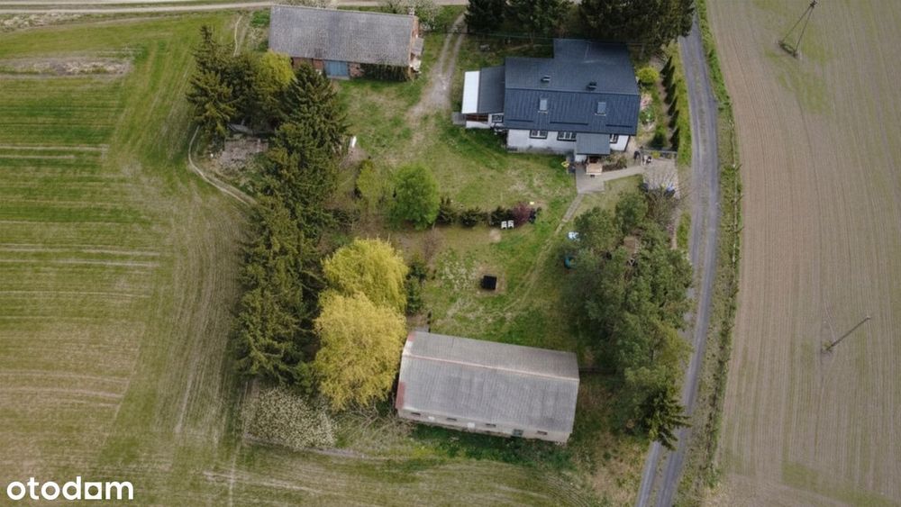 Dom dla dwóch rodzin na 1,8 ha – dwie niezależne księgi wieczyste - View 5