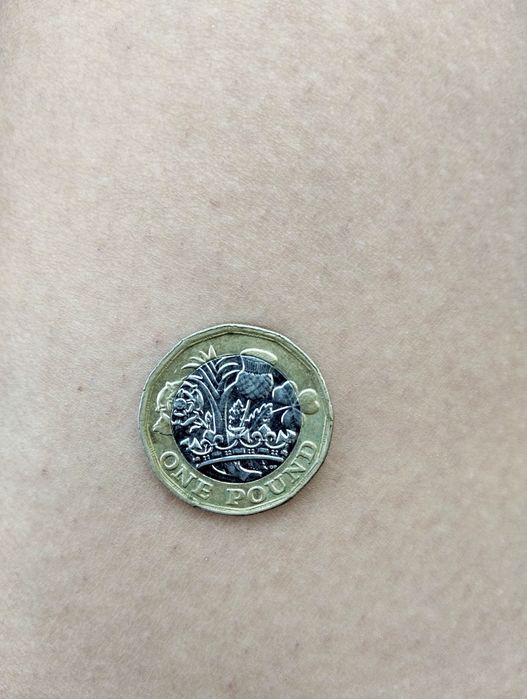 Moeda Rainha Elizabeth II 2016