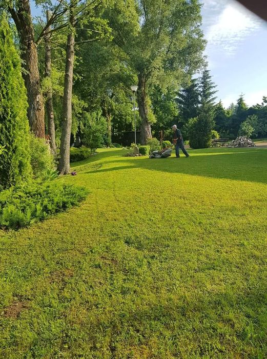 Usługi ogrodnicze Giżycko i okolice