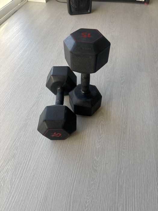 Halteres, pesos de musculação de 15 kg x2