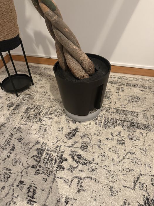 Plata interior com vaso