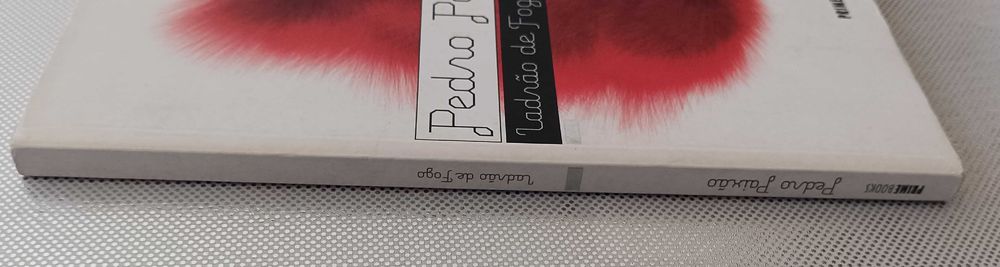 Ladrão de Fogo de Pedro Paixão