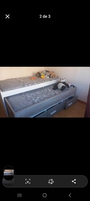 Cama       dupla445039137071441920