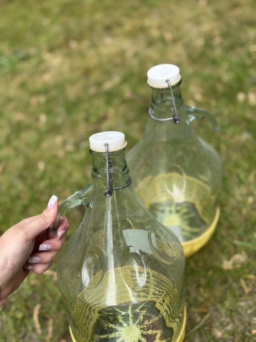 Gąsior Dama 5L w koszyku plastikowym