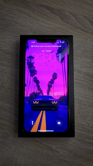 Iphone 12 Pro Max [Excelente Estado]