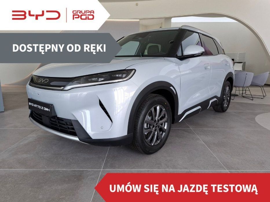 BYD Pozostałe BYD