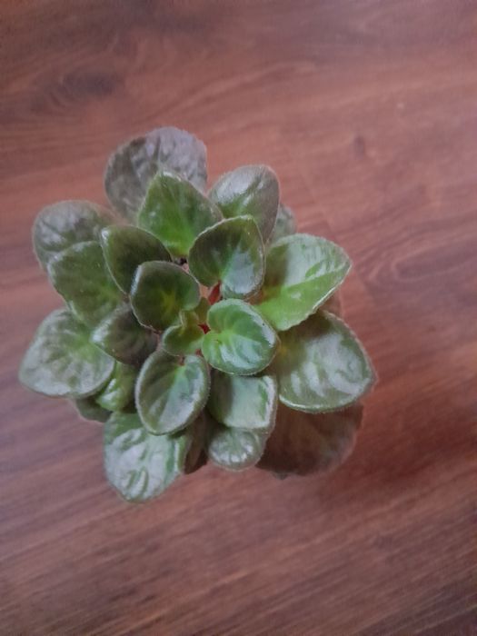 Продаються вазони різні