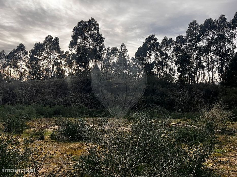 Terreno  para venda