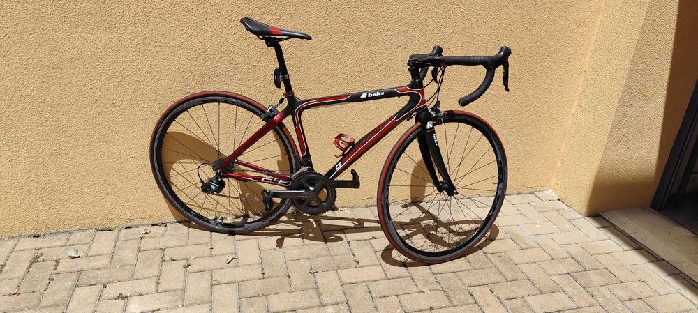 Bicicleta _ Goka Carbono