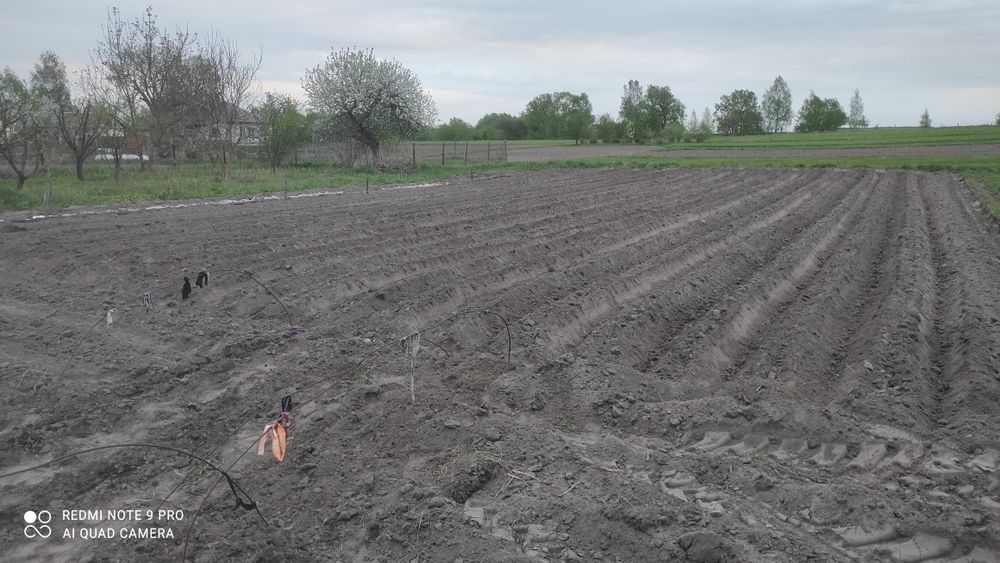 Продам будинок по близу Чернігова з доглянутим садом і городом.