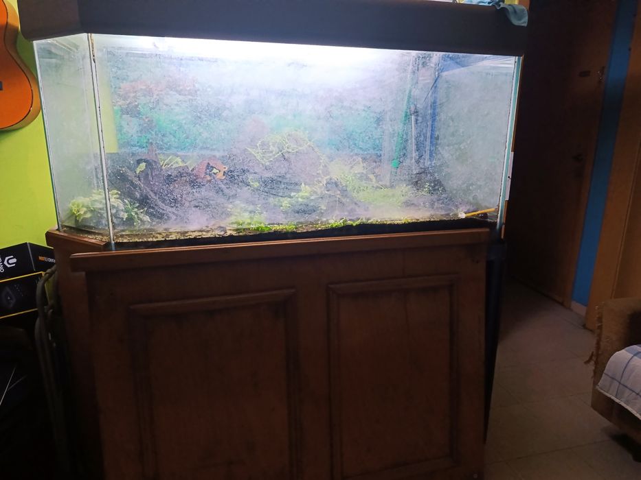 Aquário de 600 Litros