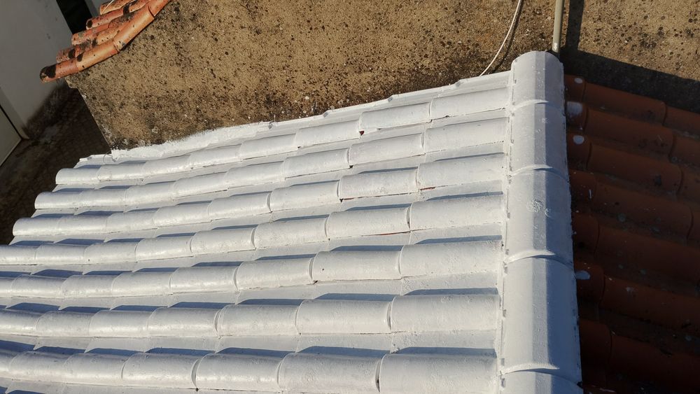 Só telhado é pintura