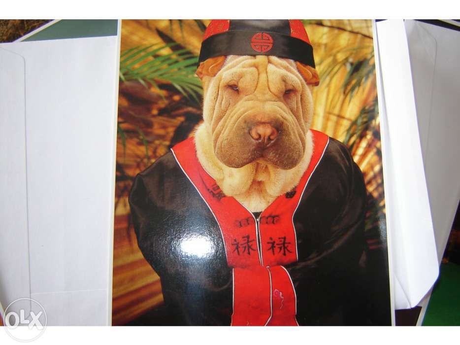 Colecção de 8 postais antigos da impact 2000 - como novos