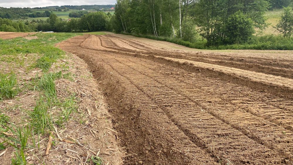 Mulczowanie wgłębne, Rekultywacja, Czyszczenie działek, Wycinka drzew
