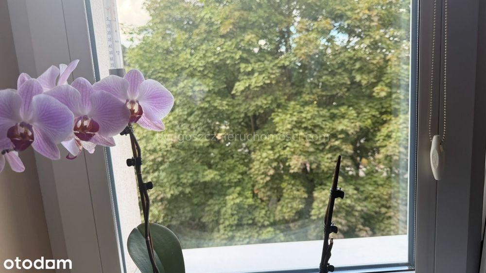 Na sprzedaż M3, Osiedle Leśne