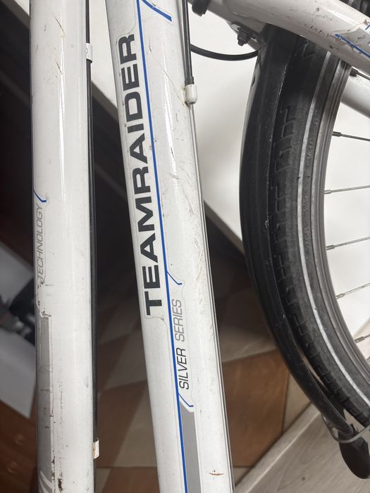 Rower damka biały