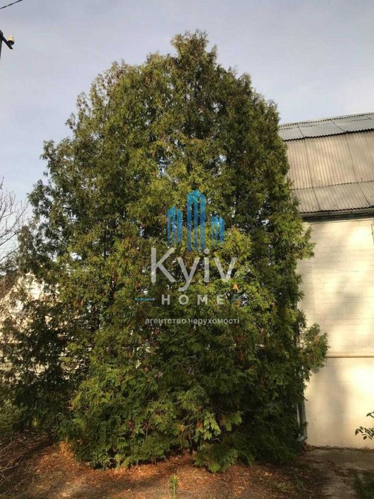 Продаж Будинок у лісі біля Києва — газ, каналізація, готовий для життя