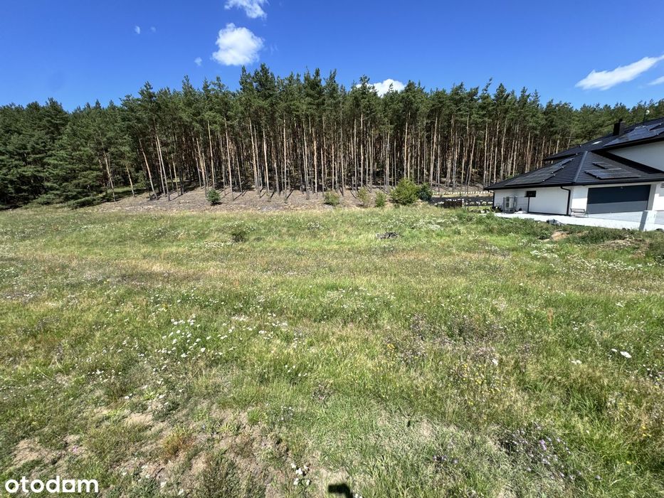 Działka przy lesie 1288 m² • Przytok • Nowa droga 2027 - Widok 3