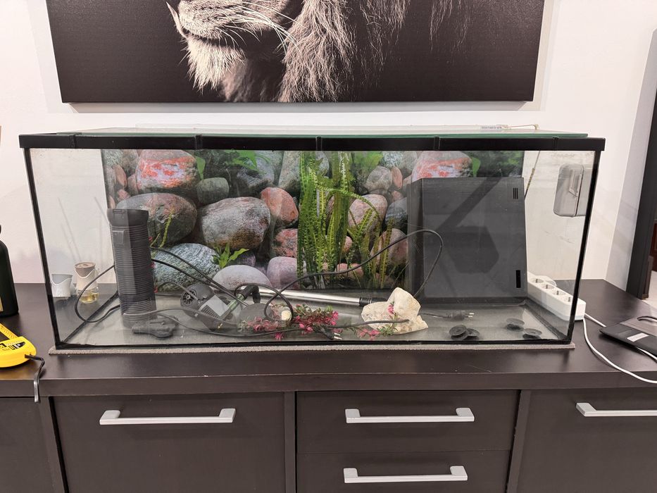 Aquario grande de peixes