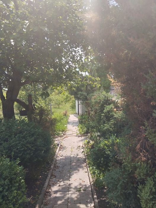 Продам в тихом красивом месте Нововодолажском района  дом  с ставком