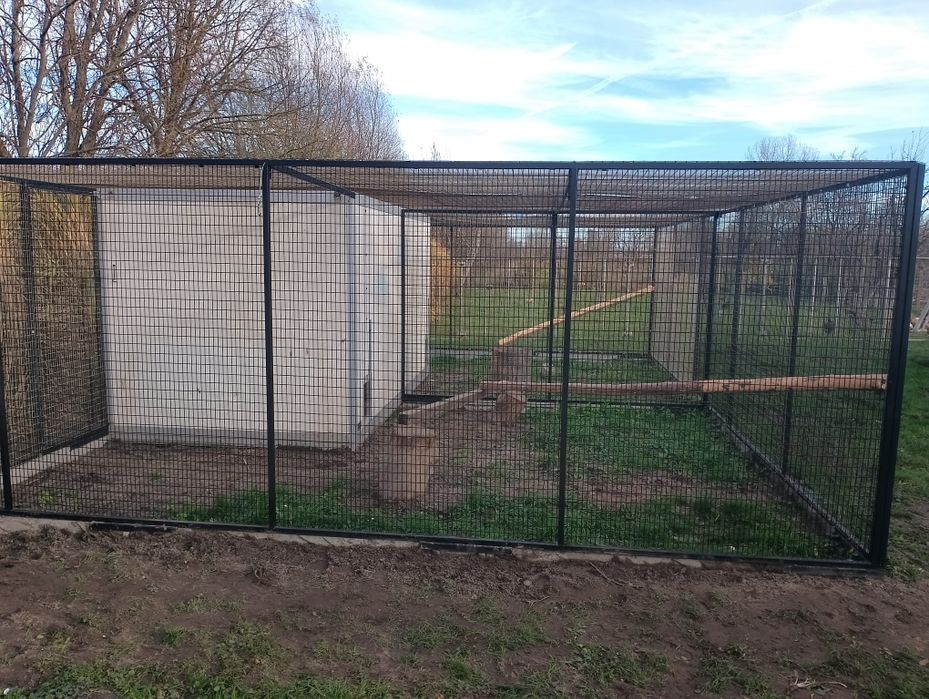 Woilera, klatka dla drobiu