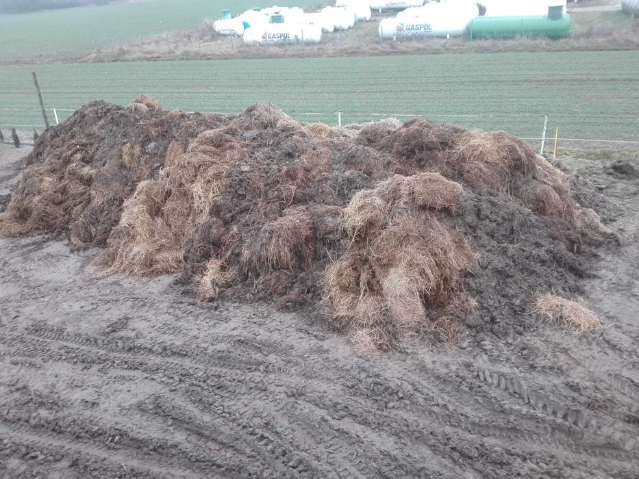 Obornik, nawóz naturalny, pełnowartościowy ZAMIANA
