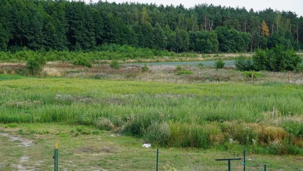 Działka budowlana z WARUNKAMI ZABUDOWY