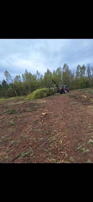 Darmowa wycinka drzew lasow samosiejek czyszczenie dzialek mulczer