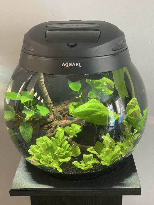 Sprzedam akwarium Aquael wraz z szafką.