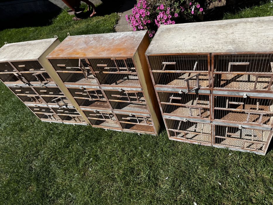 Regał hodowlany , regaly hodowlane