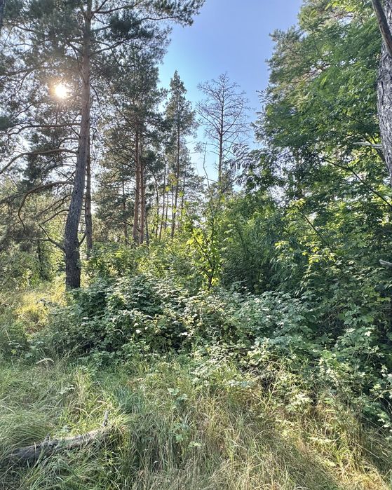 Продам земельну ділянку  67 Га! Калинівка!