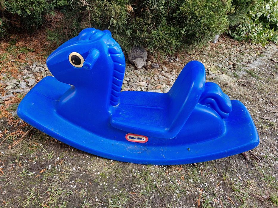 Little tikes konik bujak