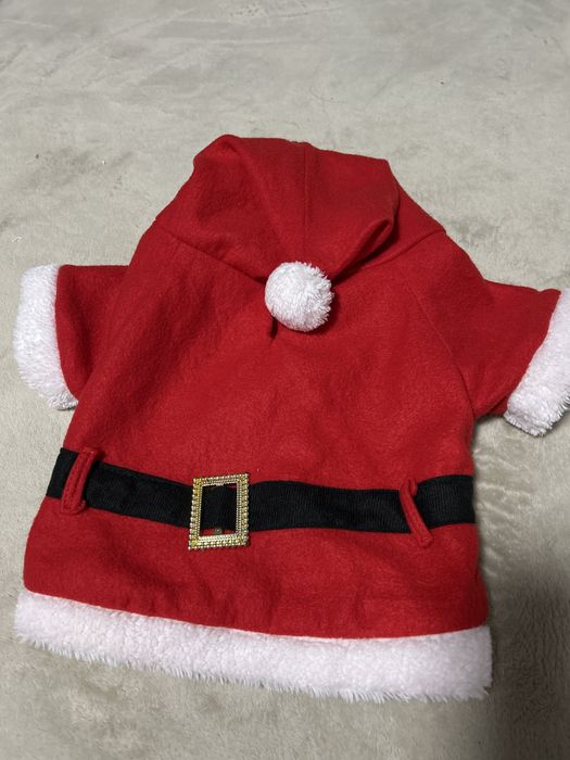 Одежда для собак