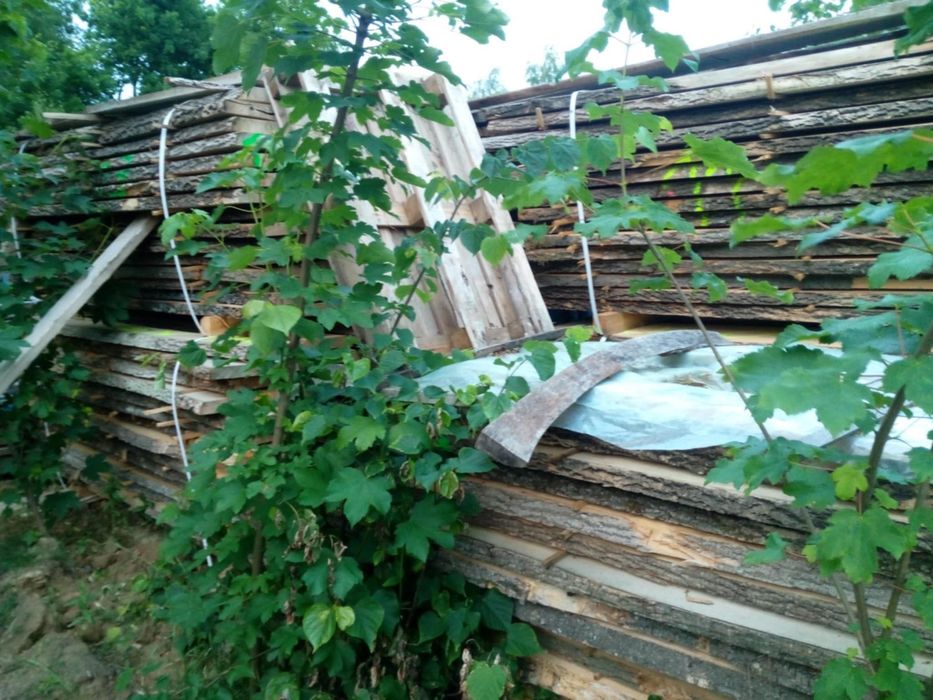 Suche deski dębowe jesionowe