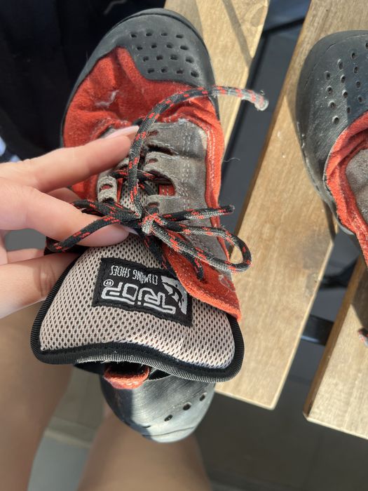 Скельники замшеві