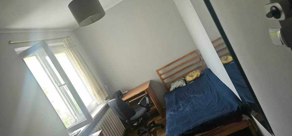 Zdjęcie 7