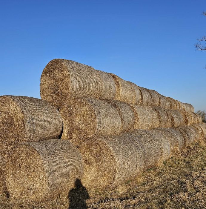 Sprzedam  słomę w belach.