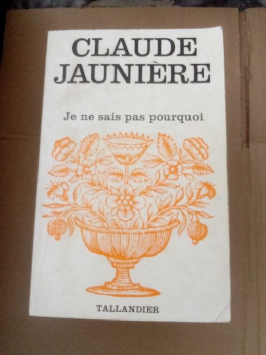 decorações de Natal e livros