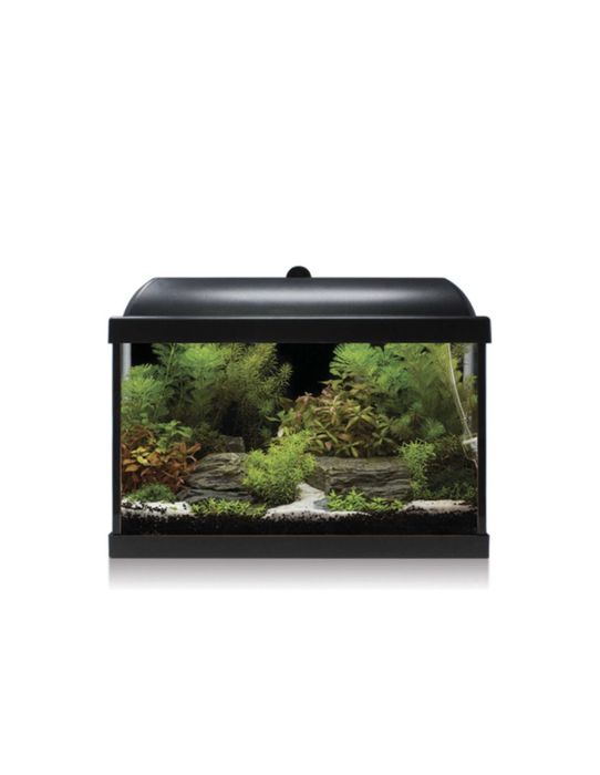 LOJA!! Aquario com Led 21 Litros KIT NOVO!!