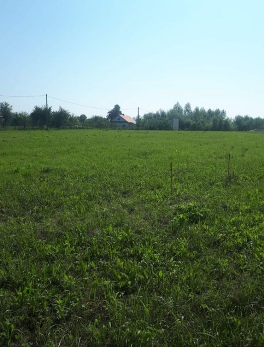 Sprzedam działkę 10,7 a z WZ, Tarnobrzeg osiedle Wielowieś ul. Nowa - Widok 4