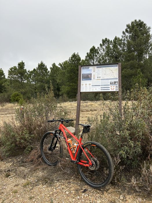 KTM Ultra Sport 2021