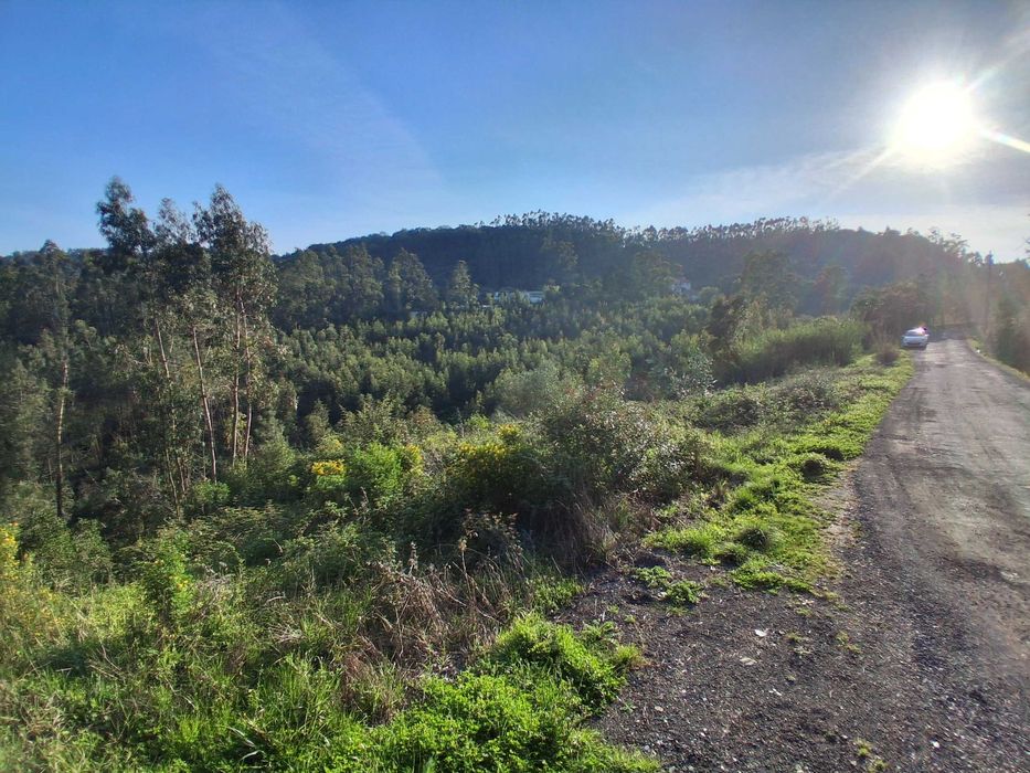 Terreno Rustico 18520 m2 a 20 minutos de Lisboa — Venda Do Pinheiro E Santo Estêvão Das Galés, Lisboa