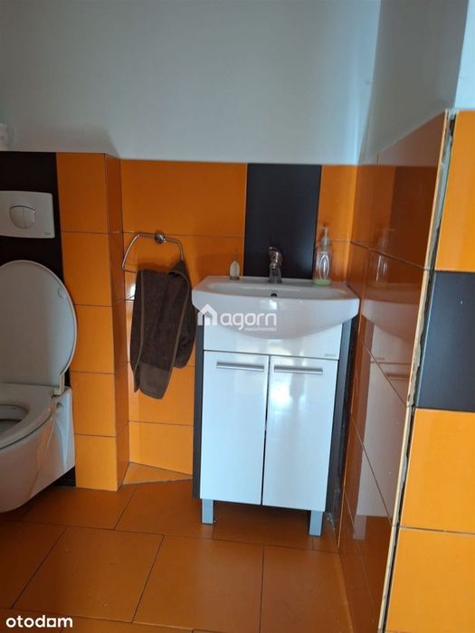 Duży dom pod działalność