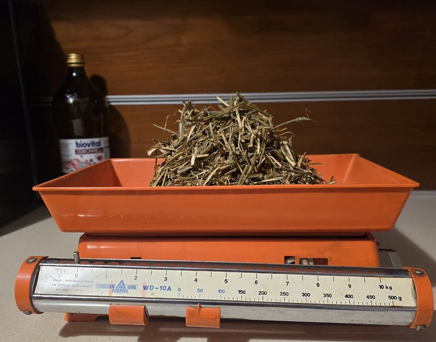 Zdrowie. Natura.Zioła suszone Kora wierzby białej z Puszczy Białej.