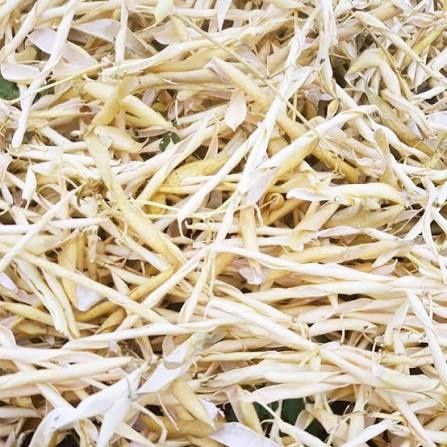 Створки фасоли білой