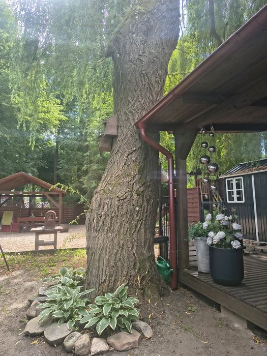 Domek Kaszuby Chmielno 4 os.
