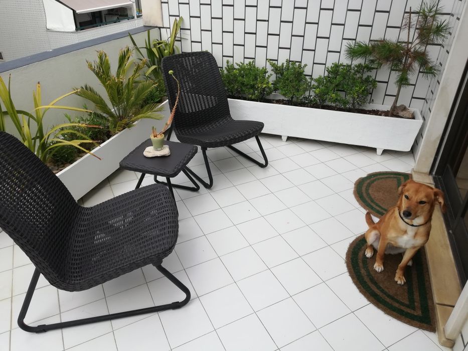 Conjunto de jardim