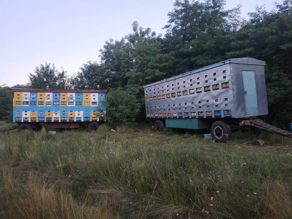 Продам майский мед (акация), 2026 год.