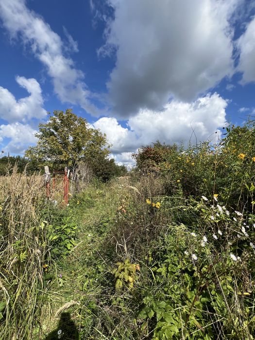 ПРОДАЖ! Земельна ділянка 6 соток ( 1 500 $/сотка) Львів, Рясне-Руське